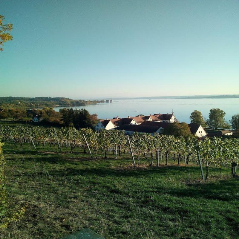 Ferienwohnung Am Bodensee Uhldingen-Mühlhofen Kültér fotó